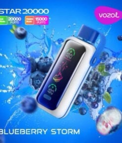 VOZOL STAR 20000 BLUBERRY STORM