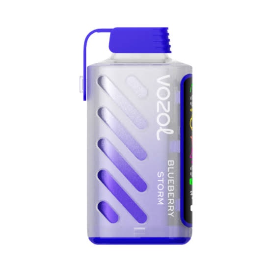 VOZOL GEAR 20000 BLUBERRY STORM